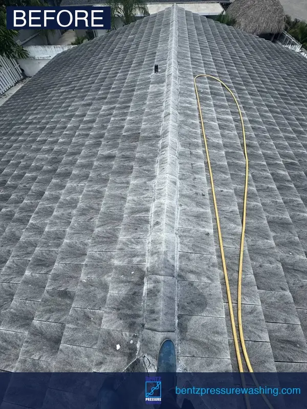 Shingle roof soft wash before Fort Lauderdale — dark staining and moss