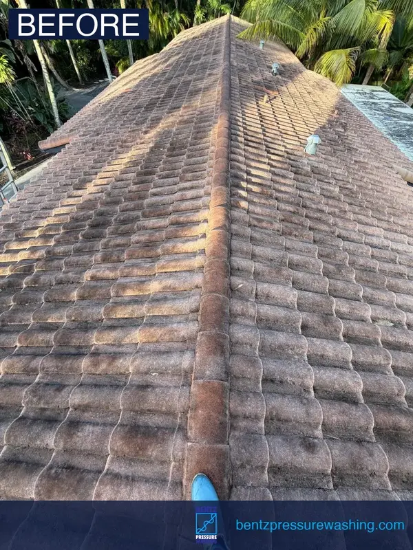 Roof wash before pressure washing Fort Lauderdale — black streaks and algae visible